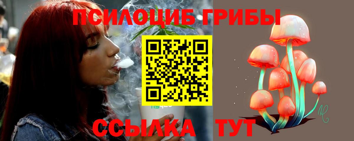Моздок  Псилоцибиновые грибы Psilocybe  Галлюциногенные грибы ЛСД  Вход с VPN 